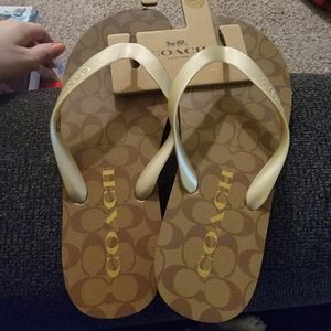 Coach flip flops